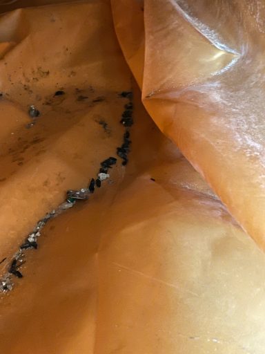 Ratten probleem kruipruimten, kapot gevreten isolatie en veel uitwerpselen.